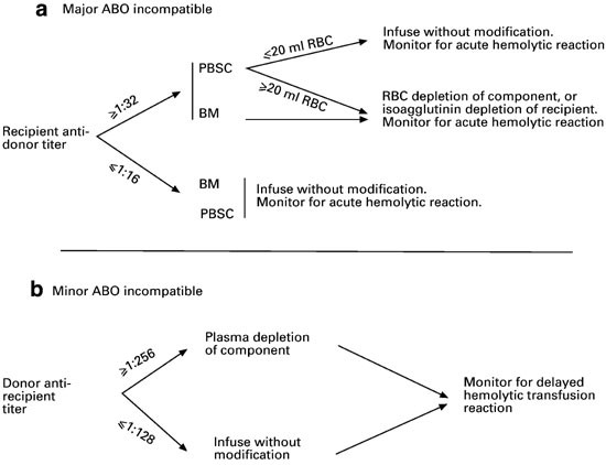 Hematopoietic stem cell transplantation between red cell incompatible donor–recipient pairs | Bone Marrow Transplantation Hematopoietic stem cell transplantation between red cell incompatible donor–recipient pairs | Bone Marrow Transplantation