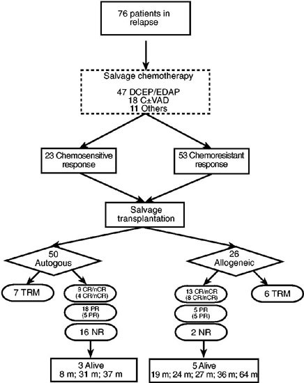 Transplantation as salvage therapy for high-risk patients with myeloma in relapse
