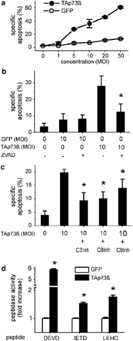 Tap73 Dnp73 Influences Apoptotic Response Chemosensitivity And Prognosis In Hepatocellular Carcinoma Cell Death Differentiation