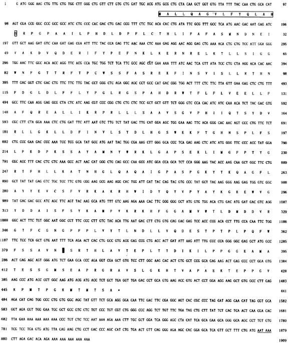 Antibodies against the C-terminal peptide of rabbit oviductin inhibit mouse early embryo development to pass 2-cell stage