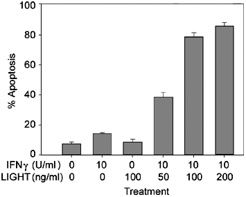 Light sensitizes ifnγ–mediated apoptosis of ht-29 human carcinoma cells through both death receptor and mitochondria pathways
