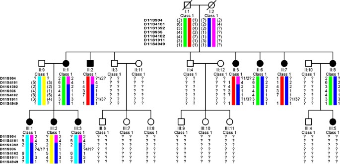 Linkage to chromosome 11p12 in two Maltese families with a highly penetrant form of osteoporosis