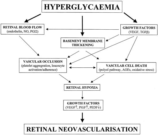 The pathogenesis of diabetic retinopathy: old concepts and ... process flow diagram javascript 