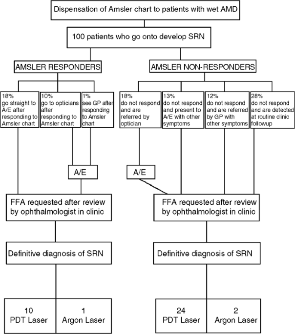 https://media.springernature.com/m685/springer-static/image/art%3A10.1038%2Fsj.eye.6700708/MediaObjects/41433_2004_Article_BF6700708_Fig1_HTML.gif