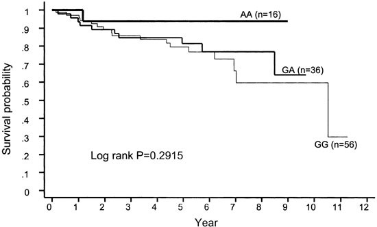 Influence of vascular endothelial growth factor single nucleotide polymorphisms on tumour development in cutaneous malignant melanoma