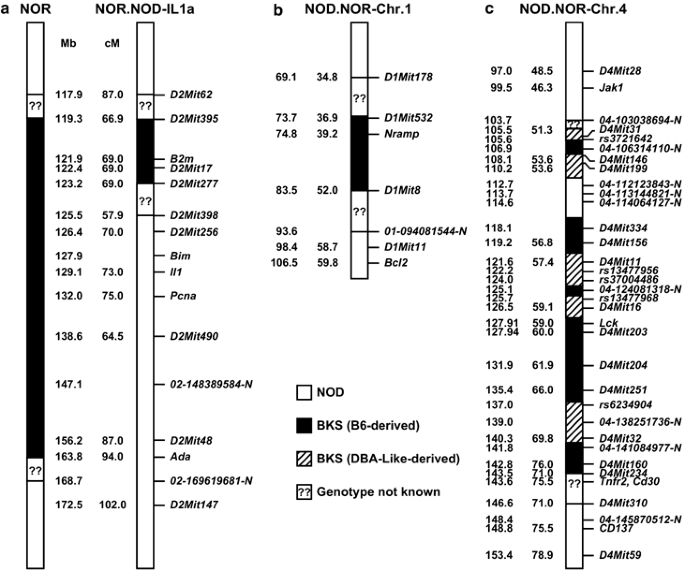 Conditioning the genome identifies additional diabetes resistance loci in type i diabetes resistant nor/lt mice