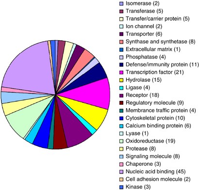 Transcriptional profiling of the peripheral blood response during tularemia