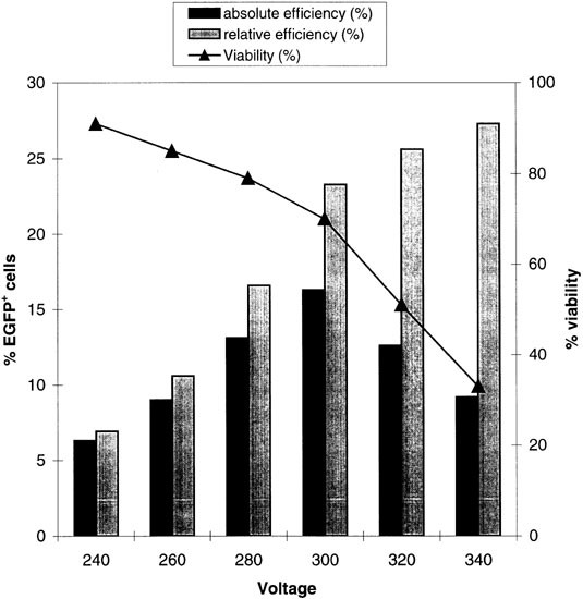 High-level transgene expression in primary human T lymphocytes and adult bone marrow CD34+ cells via electroporation-mediated gene delivery