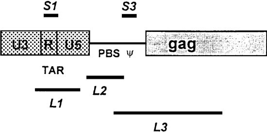 feature-image