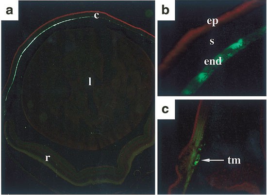 feature-image