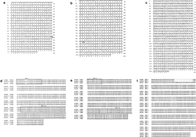 novel-antisense-oligonucleotides-targeting-tgf-inhibit-in-vivo-scarring-and-improve-surgical-outcome-gene-therapy
