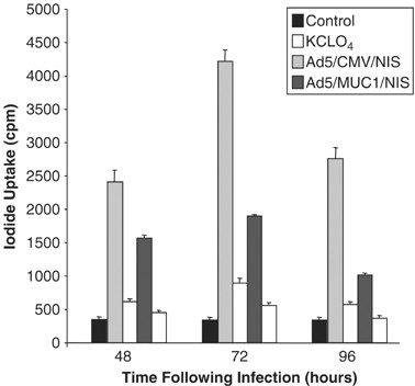 Sodium iodide symporter-mediated radioiodide imaging and therapy of ovarian tumor xenografts in mice | Gene Therapy Sodium iodide symporter-mediated radioiodide imaging and therapy of ovarian tumor xenografts in mice | Gene Therapy