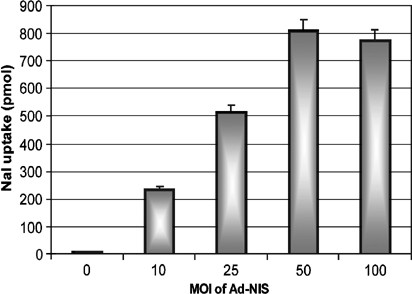 Rat sodium iodide symporter allows using lower dose of 131 I for cancer therapy | Gene Therapy Rat sodium iodide symporter allows using lower dose of 131 I for cancer therapy | Gene Therapy