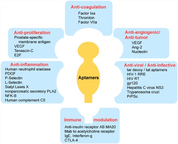 Gene Therapy Progress And Prospects Rna Aptamers Gene Therapy