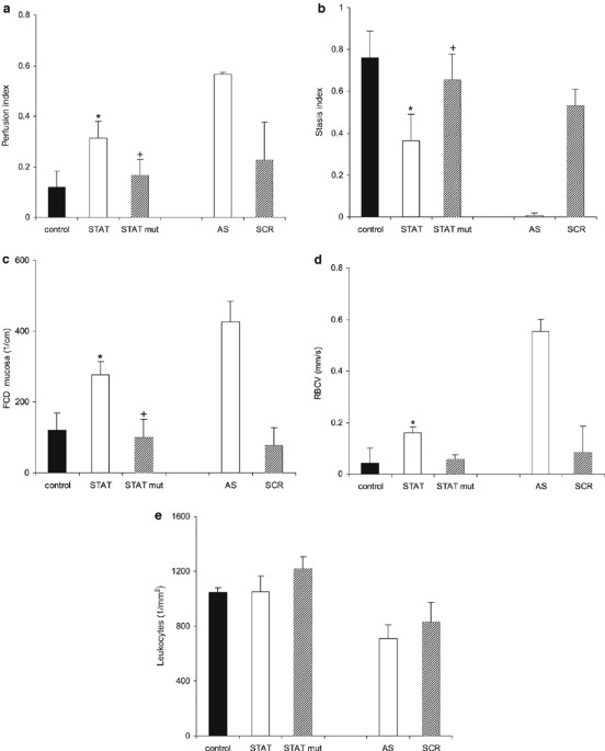Stat 1 Decoy Oligonucleotide Improves Microcirculation And Reduces Acute Rejection In Allogeneic Rat Small Bowel Transplants Gene Therapy