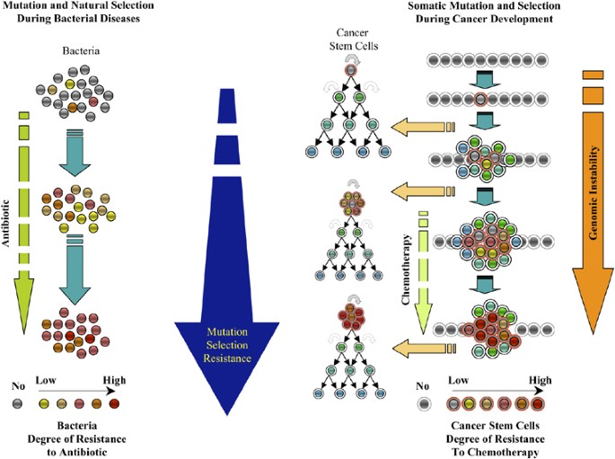 cancer genetic instability