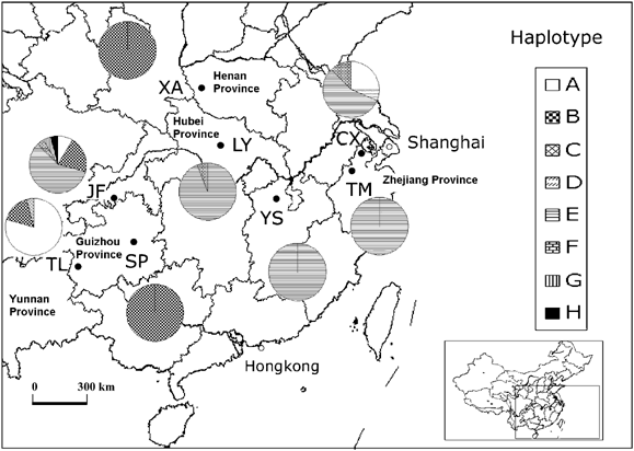 Genetic Variation Of Ginkgo Biloba L Ginkgoaceae Based On Cpdna Pcr Rflps Inference Of Glacial Refugia Heredity