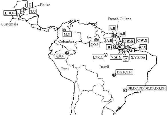 Molecular population genetics of the malaria vector anopheles darlingi in central and south america