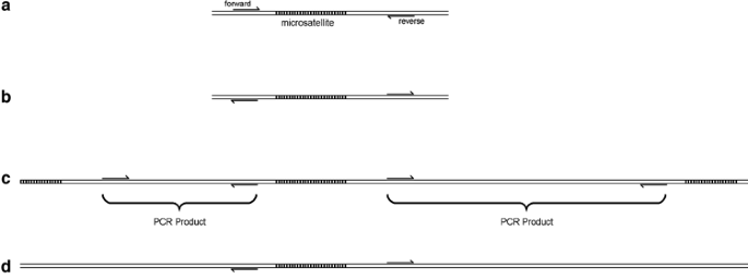 bioedit code heterozygote bioedit code heterozygote