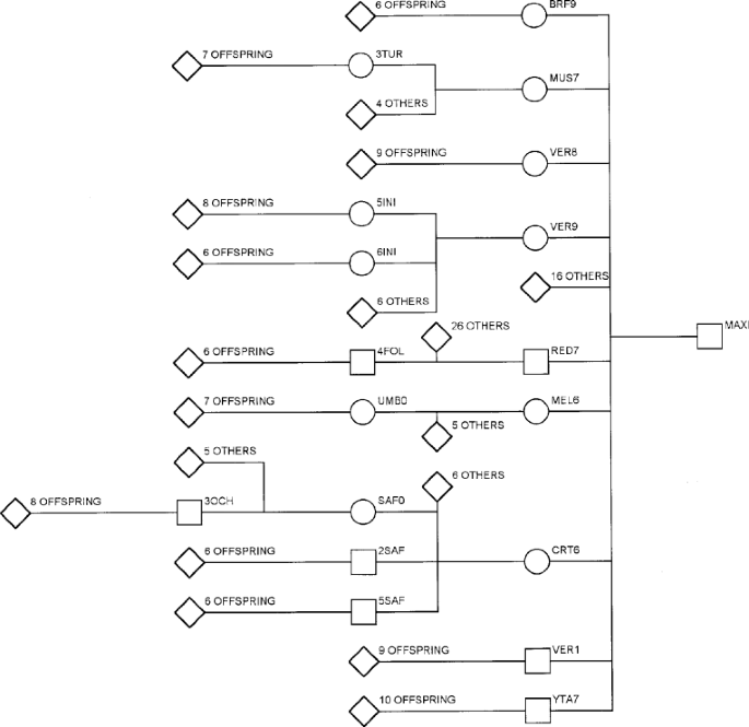 Power to detect qtl in a free-living polygynous population