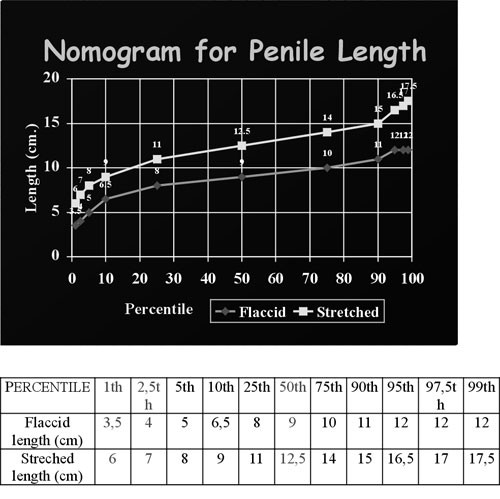 norma w cm dla penisa