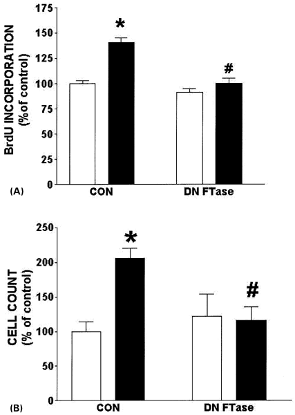 Dominant Negative A Subunit Of Farnesyl And Geranylgeranyl Transferase I Inhibits Insulin Induced Differentiation Of 3t3 L1 Pre Adipocytes International Journal Of Obesity