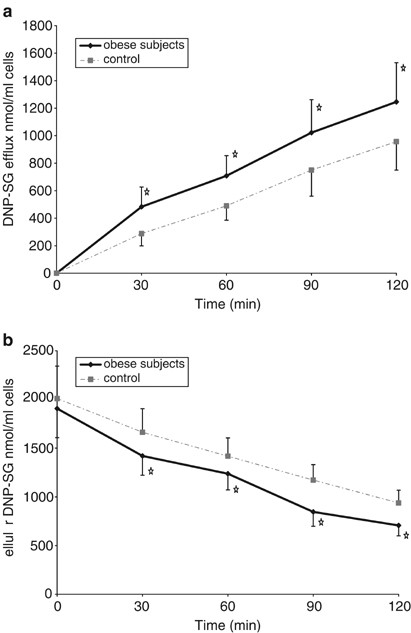 Increased glutathione conjugate transport: a possible compensatory protection mechanism against oxidative stress in obesity?