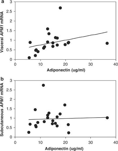 A polymorphism in the adiponectin gene influences adiponectin expression levels in visceral fat in obese subjects