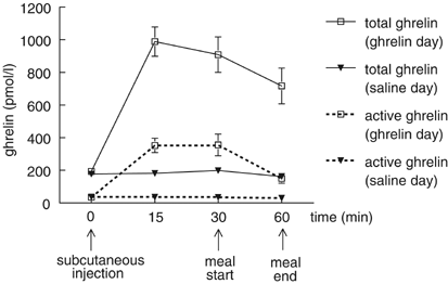 Subcutaneous administration of ghrelin stimulates energy intake in healthy lean human volunteers
