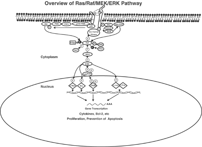 what should you not take with glutathione What To Avoid When Taking Glutathione Tablets: Full List