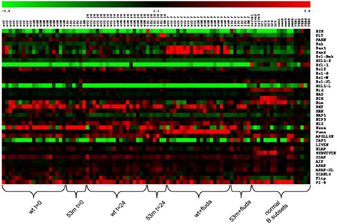 Chronic lymphocytic leukemia cells display p53-dependent drug-induced Puma  upregulation | Leukemia