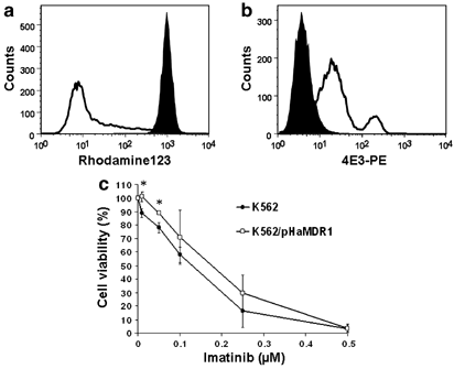 Loss of p-glycoprotein expression in hematopoietic stem cells does not improve responses to imatinib in a murine model of chronic myelogenous leukemia