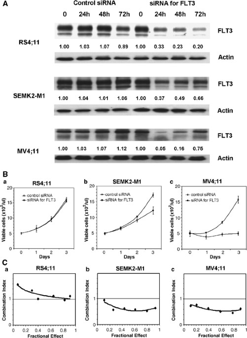 Human leukemias with mutated FLT3 kinase are synergistically sensitive to FLT3 and Hsp90 inhibitors: the key role of the STAT5 signal transduction pathway