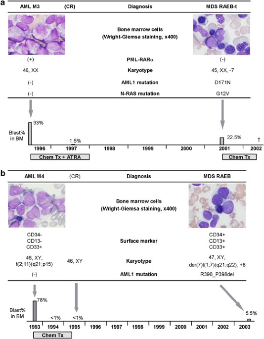 Hyperactivation Of The Ras Signaling Pathway In Myelodysplastic Syndrome With Aml1 Runx1 Point Mutations Leukemia