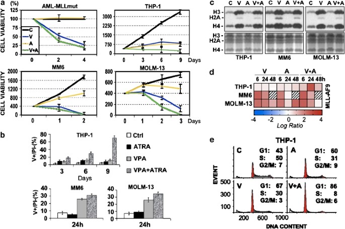 G1 cell-cycle arrest and apoptosis by histone deacetylase inhibition in mll-af9 acute myeloid leukemia cells is p21 dependent and mll-af9 independent