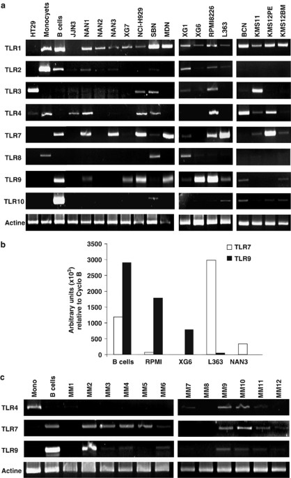 Pathogen-associated molecular patterns are growth and survival factors for human myeloma cells through toll-like receptors