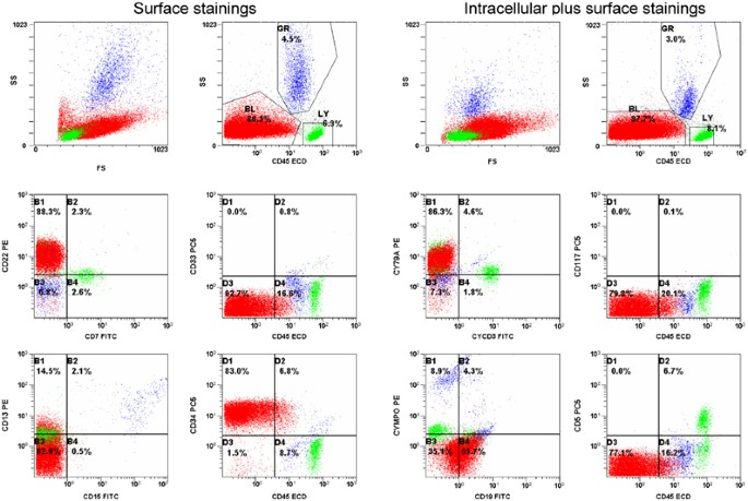 Discriminant function analysis as decision support system for the diagnosis of acute leukemia with a minimal four color screening panel and multiparam