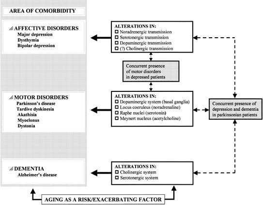 Extrapyramidal Symptoms And Antidepressant Drugs Neuropharmacological Aspects Of A Frequent Interaction In The Elderly Molecular Psychiatry