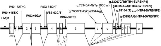Association between serotonin 4 receptor gene polymorphisms and bipolar disorder in Japanese case-control samples and the NIMH Genetics Initiative Bipolar Pedigrees