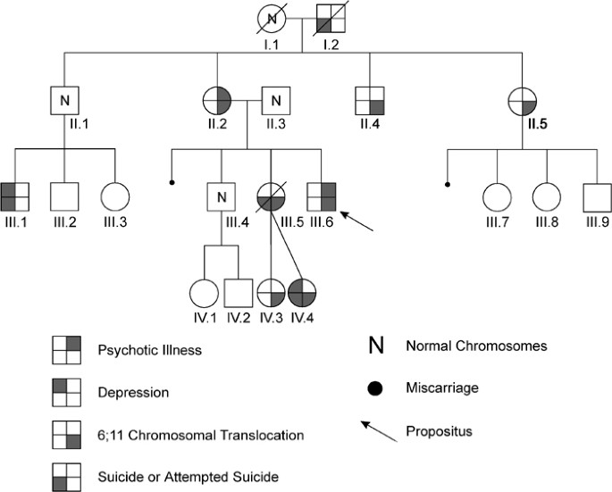 β-1,3-Glucuronyltransferase-1 gene implicated as a candidate for a  schizophrenia-like psychosis through molecular analysis of a balanced  translocation | Molecular Psychiatry
