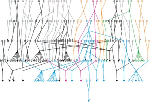 Genome-wide scan in a large complex pedigree with predominantly male schizophrenics from the island of kosrae: evidence for linkage to chromosome 2q