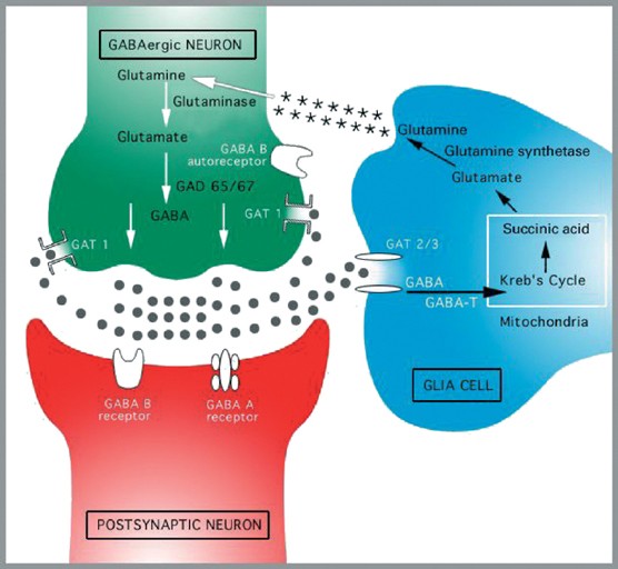 Gabaergic dysfunction in mood disorders