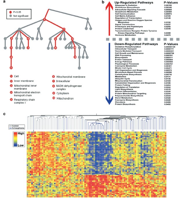 glutathione for schizophrenia Full article: Targeting of NMDA receptors in new treatments Proposed sources of oxidative stress