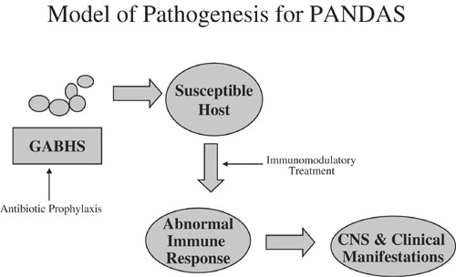 PANDAS pathophysiology ile ilgili görsel sonucu