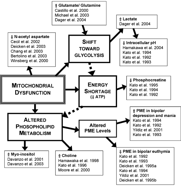 Mitochondrial Dysfunction In Bipolar Disorder Evidence From Magnetic Resonance Spectroscopy Research Molecular Psychiatry Mitochondrial Dysfunction In Bipolar Disorder Evidence From Magnetic Resonance Spectroscopy Research Molecular Psychiatry