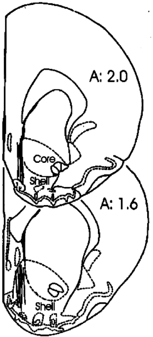 feature-image