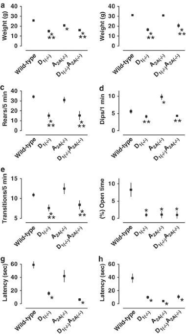 Receptor Crosstalk Characterization Of Mice Deficient In Dopamine D 1 And Adenosine A 2a Receptors Neuropsychopharmacology