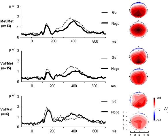 Impact of catechol-o-methyltransferase on prefrontal brain functioning in schizophrenia spectrum disorders