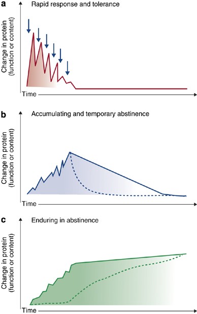 Drug Addiction as a Pathology of Staged Neuroplasticity |  Neuropsychopharmacology