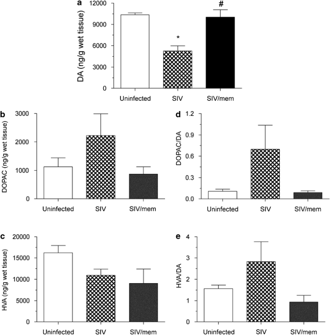Memantine Upregulates BDNF and Prevents Dopamine Deficits in SIV-Infected  Macaques: A Novel Pharmacological Action of Memantine |  Neuropsychopharmacology